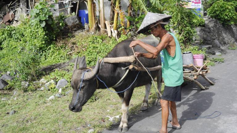 La vida a la sombra del volcán Mayon: amenaza y oportunidad La vida a la sombra del volcán Mayon: amenaza y oportunidad