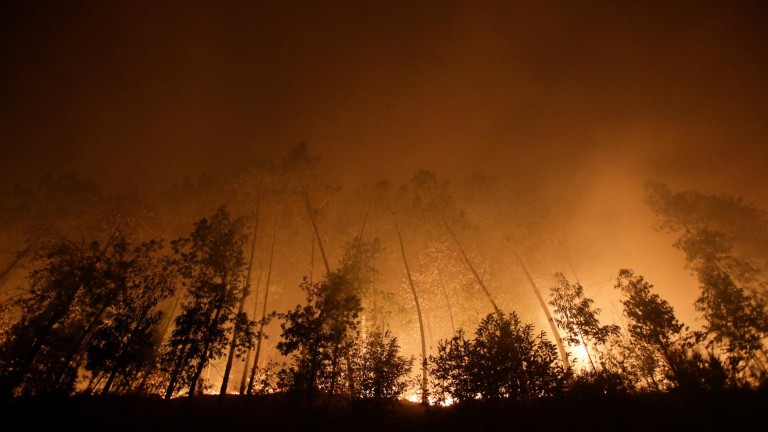 La ola de incendios en Galicia deja ya cuatro muertos