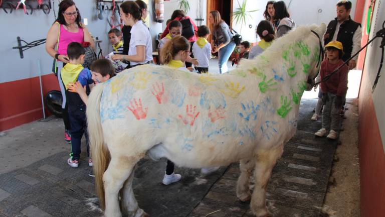 convivencia con caballos convivencia con caballos