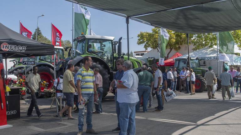 FEMA, cita para profesionales