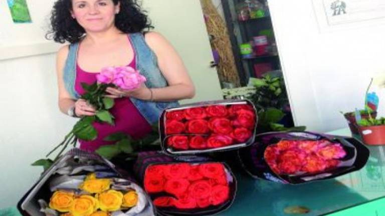 La fragancia de las rosas de Ecuador inunda el municipio La fragancia de las rosas de Ecuador inunda el municipio