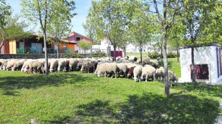 Santa Ana, un espacio de prosperidad Santa Ana, un espacio de prosperidad