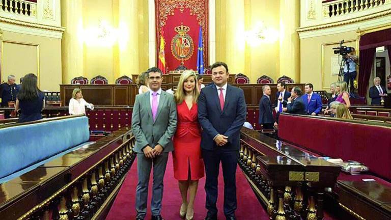 Tareas de diputados y senadores del PSOE Tareas de diputados y senadores del PSOE