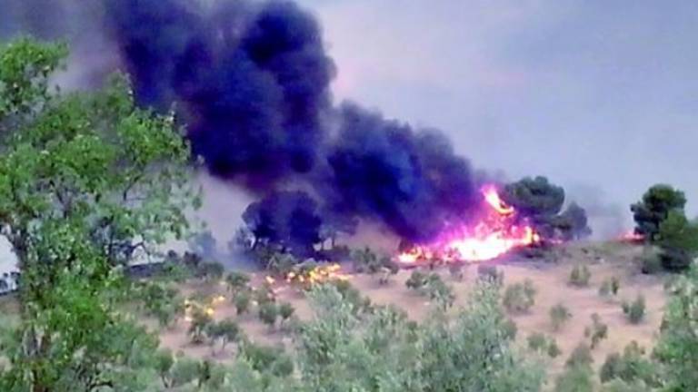 Cientos de hectáreas de olivar se han visto afectadas