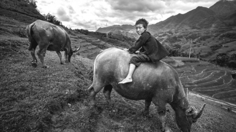Retrato del Vietnam más rural