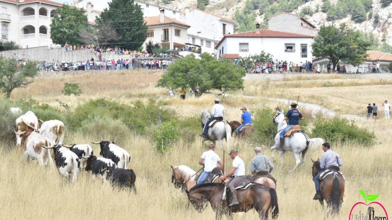 El toro, la seña de identidad El toro, la seña de identidad