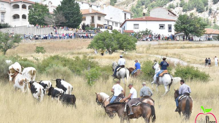 El toro, la seña de identidad