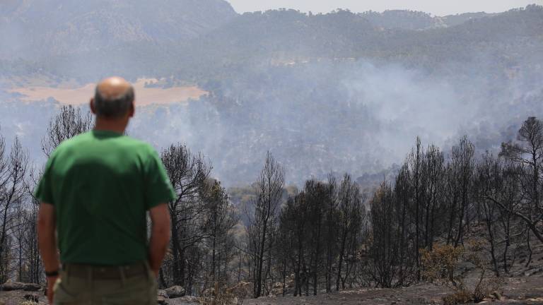 Mañana se cumplen dos años del incendio de Quesada