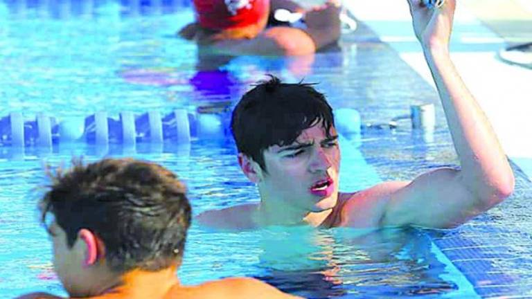 La piscina como hábitat La piscina como hábitat