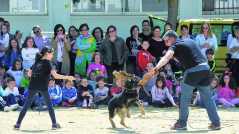 El adiestramiento que educa El adiestramiento que educa