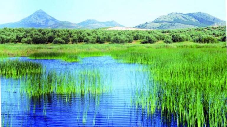 Protección para la Laguna Honda Protección para la Laguna Honda