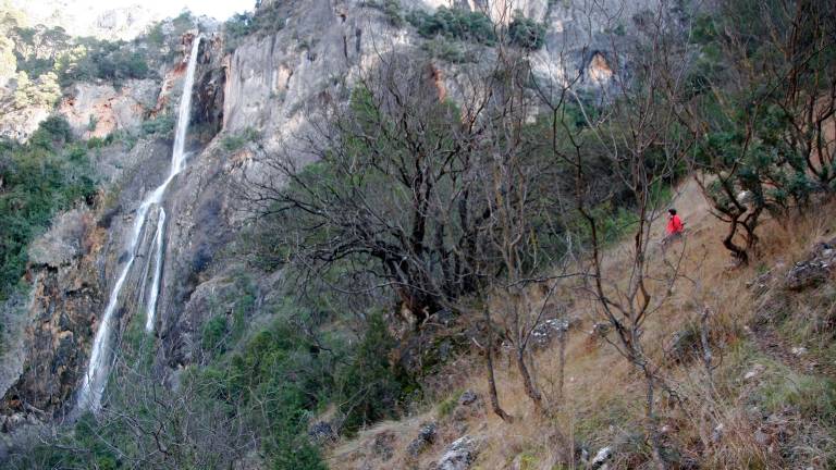 La alegría “brota” en cada rincón del paraíso La alegría “brota” en cada rincón del paraíso