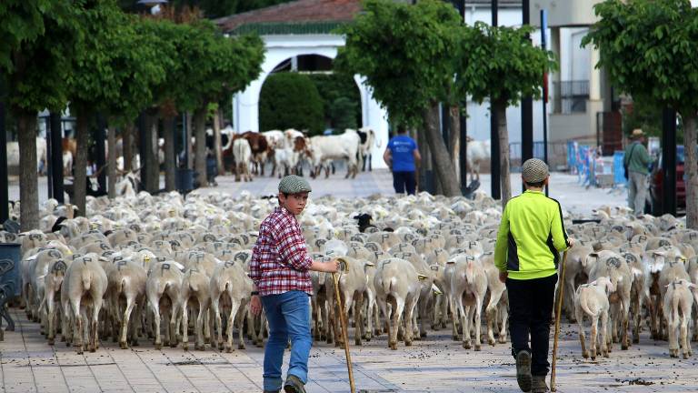 Una imagen milenaria en Mogón Una imagen milenaria en Mogón