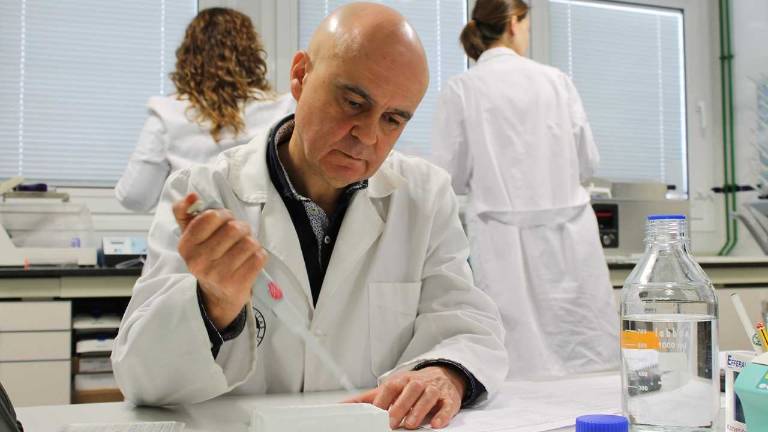 Un compuesto del aceite favorece la cicatrización Un compuesto del aceite favorece la cicatrización