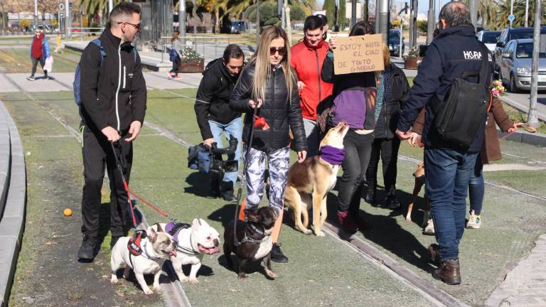 “No” mayúsculo a la caza con galgos u otras razas