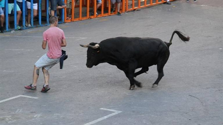 Fallece un joven corneado por un toro Fallece un joven corneado por un toro