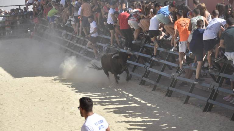Arquillos se echa a la calle para disfrutar de su encierro Arquillos se echa a la calle para disfrutar de su encierro