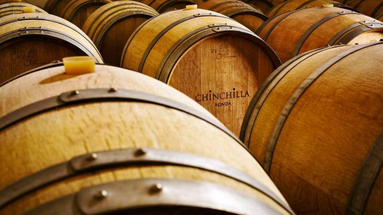 Ruta por los vinos y las bodegas de la serranía Ruta por los vinos y las bodegas de la serranía