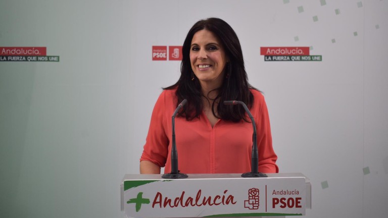 El PSOE pide a CS que salga del pacto con VOX