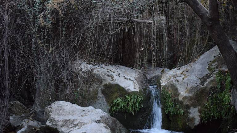 La alegría “brota” en cada rincón del paraíso