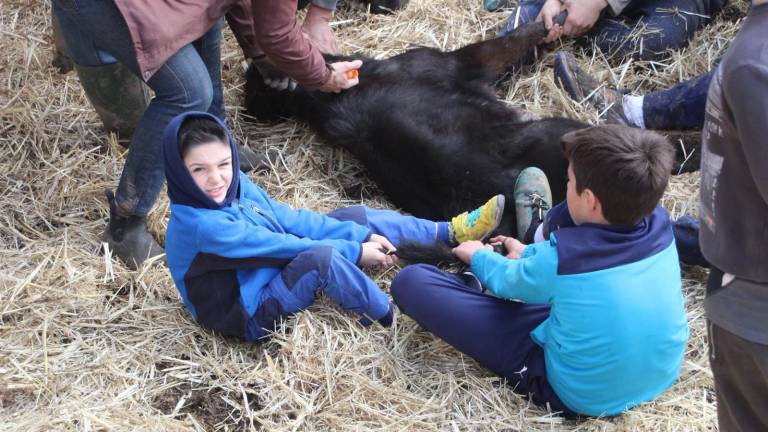 Preparación al “doctorado”