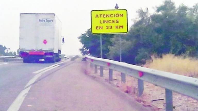 Señalización para alertar de la presencia de linces en la A-4 Señalización para alertar de la presencia de linces en la A-4
