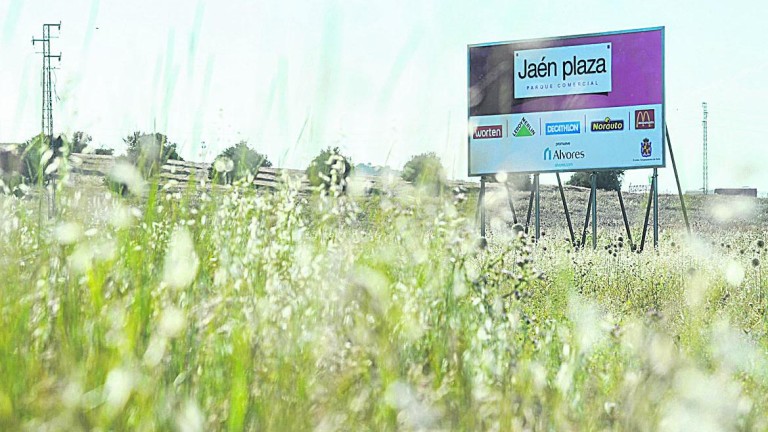Informes positivos para el Jaén Plaza