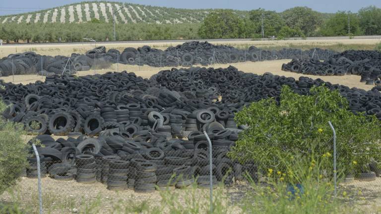 Un “Seseña” entre olivos Un “Seseña” entre olivos