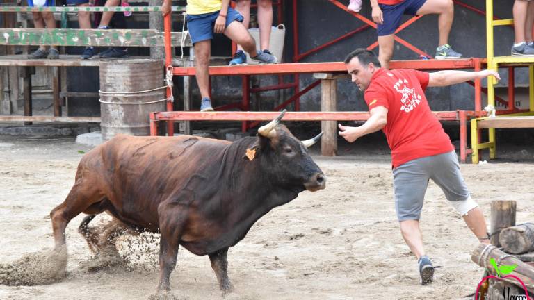 El toro, la seña de identidad