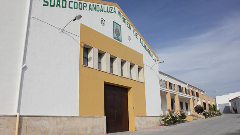 “Seguimos mejorando nuestros objetivos de calidad y respeto medioambiental y, por supuesto, estar al día con las tecnologías” “Seguimos mejorando nuestros objetivos de calidad y respeto medioambiental y, por supuesto, estar al día con las tecnologías”