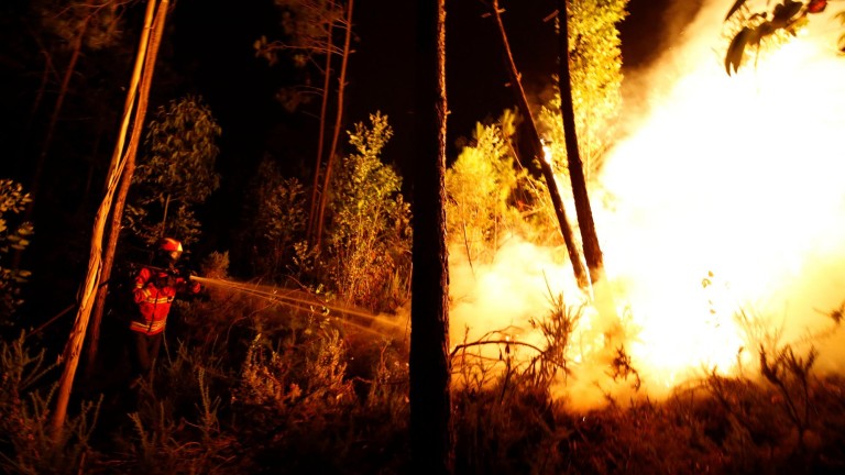 Aumenta a 62 el número de fallecidos por el incendio forestal de Leiria, 30 de ellos en sus vehículos