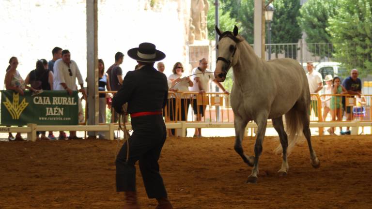 Anducab “brilla” en su ecuador