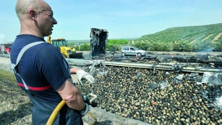 Cortada la A-44 tras arder un camión de verduras Cortada la A-44 tras arder un camión de verduras