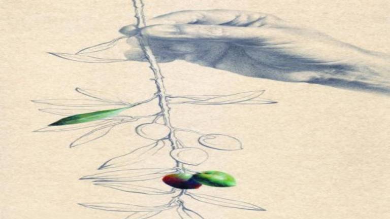 Arte para “vestir” las variedades de un gran aceite Arte para “vestir” las variedades de un gran aceite