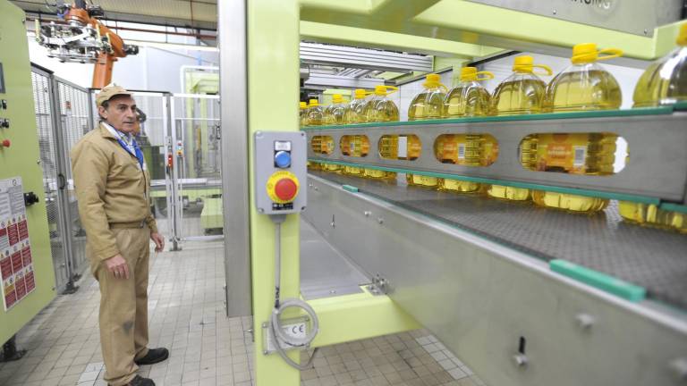 Sovena logra resucitar el gran coloso del aceite Sovena logra resucitar el gran coloso del aceite