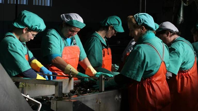 El 30% de los trabajadores gana menos de 1.215 euros brutos al mes El 30% de los trabajadores gana menos de 1.215 euros brutos al mes