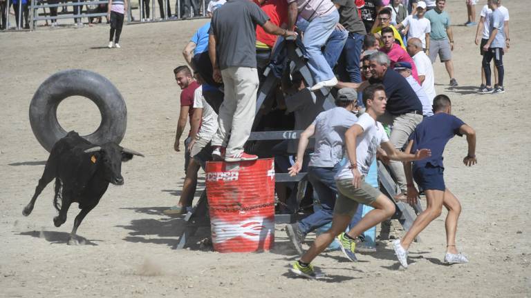 La suelta de vaquillas provoca el delirio total La suelta de vaquillas provoca el delirio total