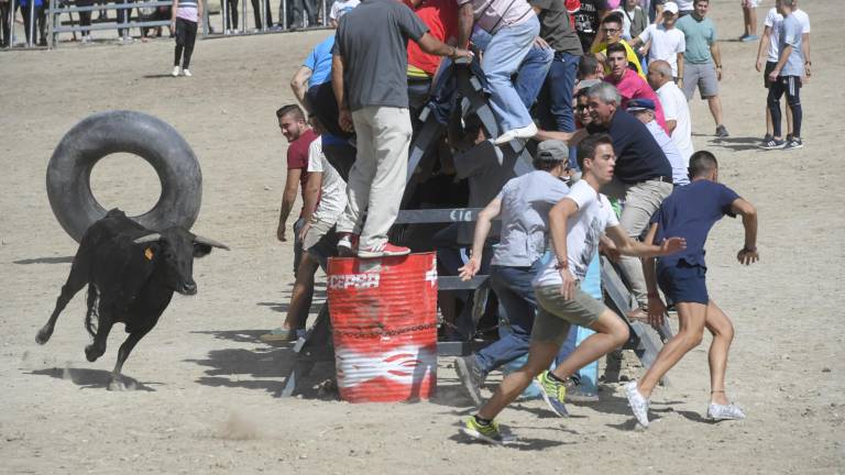 La suelta de vaquillas provoca el delirio total