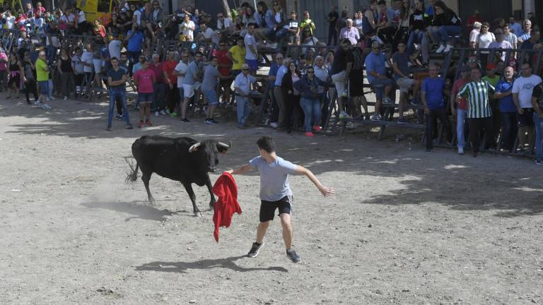 La suelta de vaquillas provoca el delirio total La suelta de vaquillas provoca el delirio total
