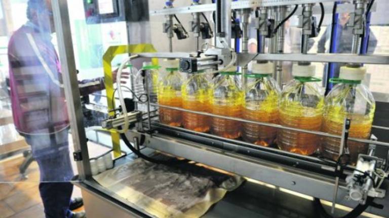 Las aceiteras se protegen porque temen nuevos robos Las aceiteras se protegen porque temen nuevos robos