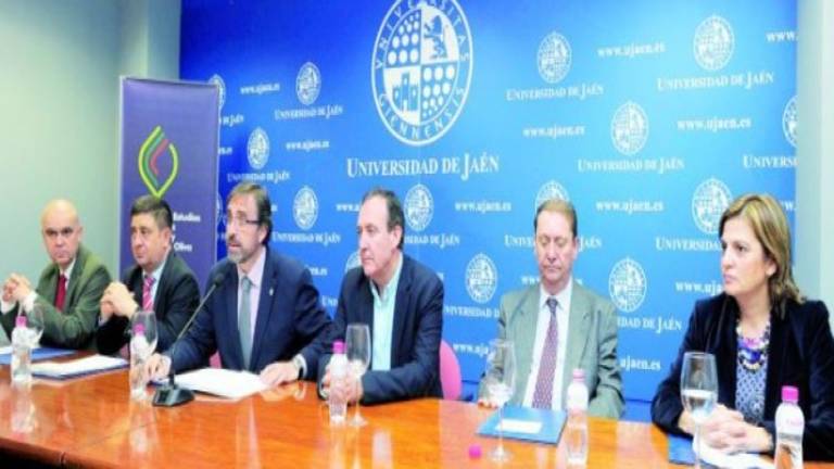 300 jiennenses se someten a un ensayo sobre aceite y salud 300 jiennenses se someten a un ensayo sobre aceite y salud