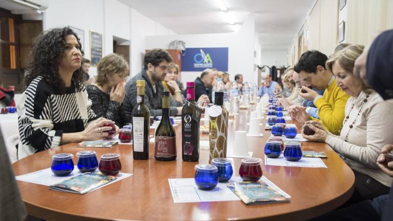 Cata de aceite en las Jornadas Gastronómicas Cata de aceite en las Jornadas Gastronómicas