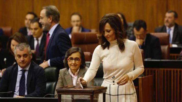 Maribel Lozano abre su era parlamentaria Maribel Lozano abre su era parlamentaria