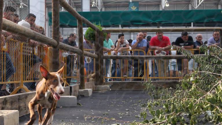 Ibercaza, un encuentro de tradiciones Ibercaza, un encuentro de tradiciones