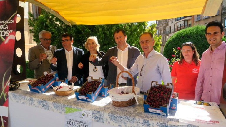 Una campaña de cereza que alcanzará los 1,6 millones de kilos