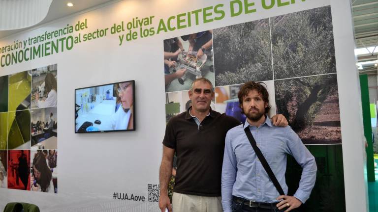 Sustainolive, por un olivar más sostenible Sustainolive, por un olivar más sostenible