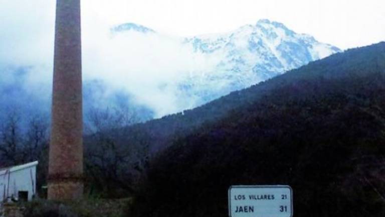 Un manto de nieve cubre a la primavera Un manto de nieve cubre a la primavera