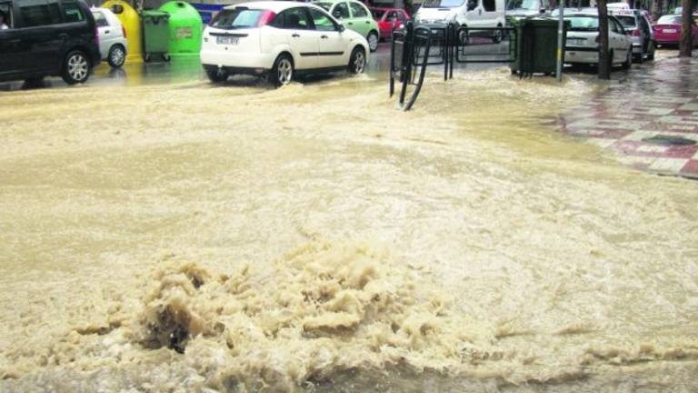 Un año agrícola con lluvias algo por encima de la media local Un año agrícola con lluvias algo por encima de la media local