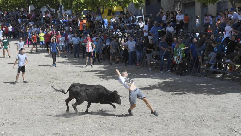 La suelta de vaquillas provoca el delirio total La suelta de vaquillas provoca el delirio total