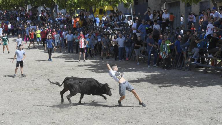 La suelta de vaquillas provoca el delirio total